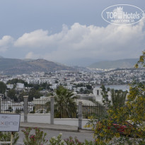 фото из отзыва ID 1185291