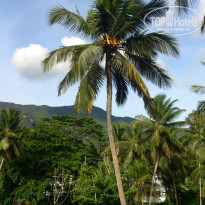 фото из отзыва ID 1185462