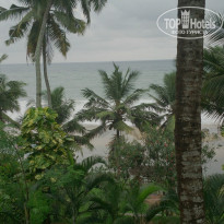 фото из отзыва ID 1185759