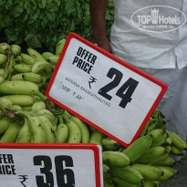 фото из отзыва ID 1185759