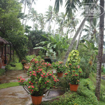 фото из отзыва ID 1185759