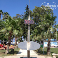 фото из отзыва ID 1185934