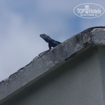 фото из отзыва ID 1186275