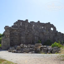 фото из отзыва ID 1186313