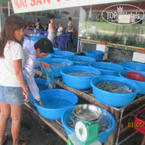 фото из отзыва ID 1186486