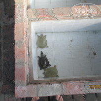 фото из отзыва ID 1186486