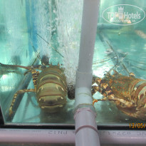 фото из отзыва ID 1186486