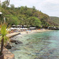 фото из отзыва ID 1186037