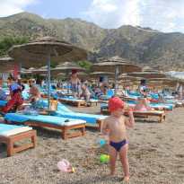 фото из отзыва ID 1186636