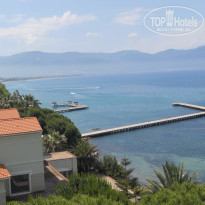 фото из отзыва ID 1186796