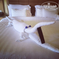 фото из отзыва ID 1186856