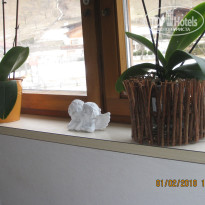 фото из отзыва ID 1186859