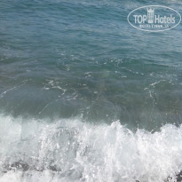 фото из отзыва ID 1187007