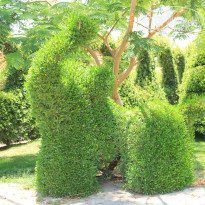 фото из отзыва ID 1186960