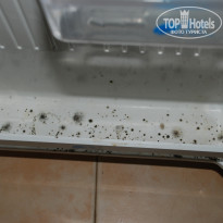 фото из отзыва ID 1187152