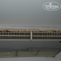 фото из отзыва ID 1187152