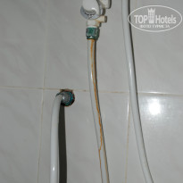 фото из отзыва ID 1187152