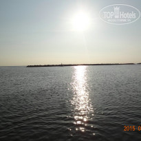 фото из отзыва ID 1187328