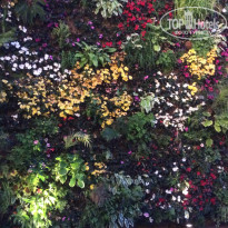 фото из отзыва ID 1187341