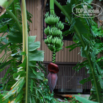 фото из отзыва ID 1187435