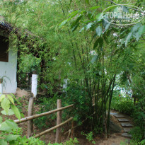 фото из отзыва ID 1187472