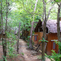 фото из отзыва ID 1187472