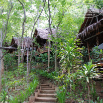 фото из отзыва ID 1187472