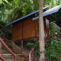 фото из отзыва ID 1187472