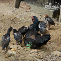 фото из отзыва ID 1187472