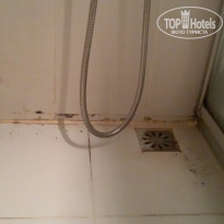 фото из отзыва ID 1187582