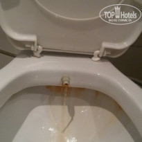 фото из отзыва ID 1187582