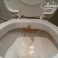 фото из отзыва ID 1187582