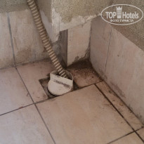 фото из отзыва ID 1187582