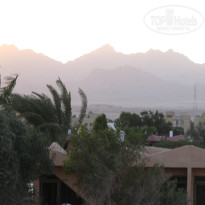 фото из отзыва ID 1187628