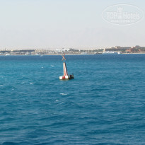 фото из отзыва ID 1187628