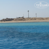 фото из отзыва ID 1187628