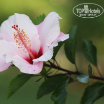 фото из отзыва ID 1187063