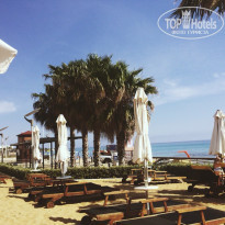 фото из отзыва ID 1187707