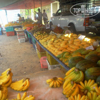 фото из отзыва ID 1187778