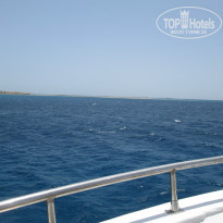 фото из отзыва ID 1187803