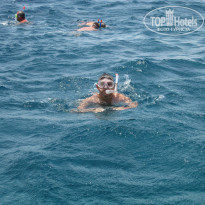 фото из отзыва ID 1187803