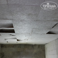 фото из отзыва ID 1188094