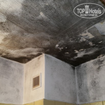 фото из отзыва ID 1188094