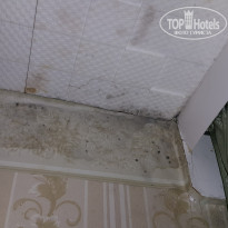 фото из отзыва ID 1188094