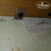 фото из отзыва ID 1188094