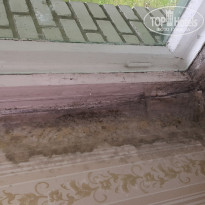 фото из отзыва ID 1188094