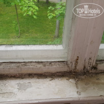 фото из отзыва ID 1188094