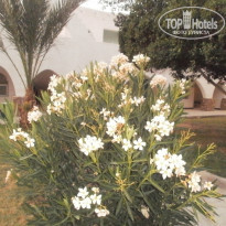 фото из отзыва ID 1188361