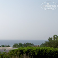 фото из отзыва ID 1184363