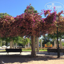 фото из отзыва ID 1188456